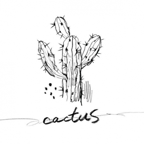 N (VIXX) – Cactus