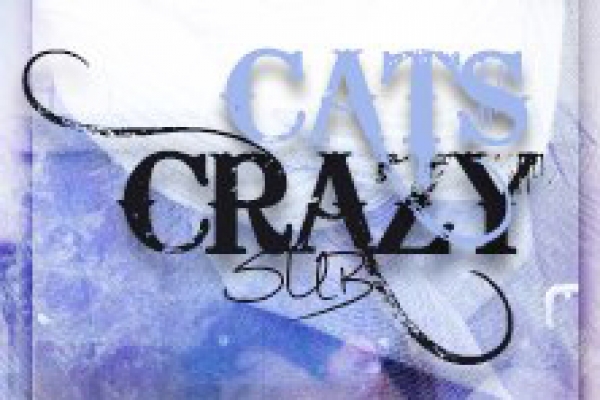 ФСГ Crazy Cats