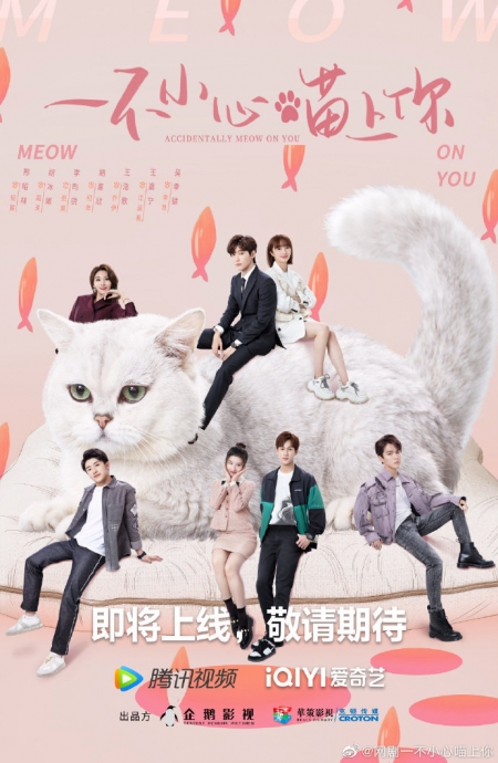 Серия 11 Дорама Случайный мяу / Accidentally Meow On You /  一不小心喵上你 / Yi Bu Xiao Xin Miao Shang Ni