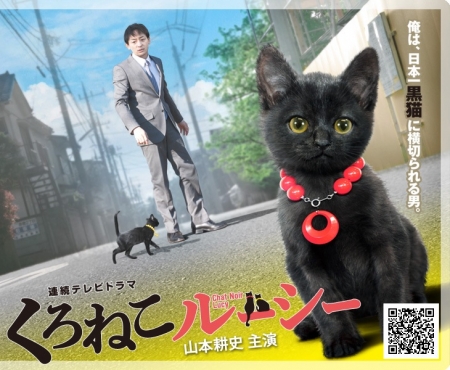 Серия 12 Дорама Черная кошка Люси / Kuro Neko Rushi / くろねこルーシー