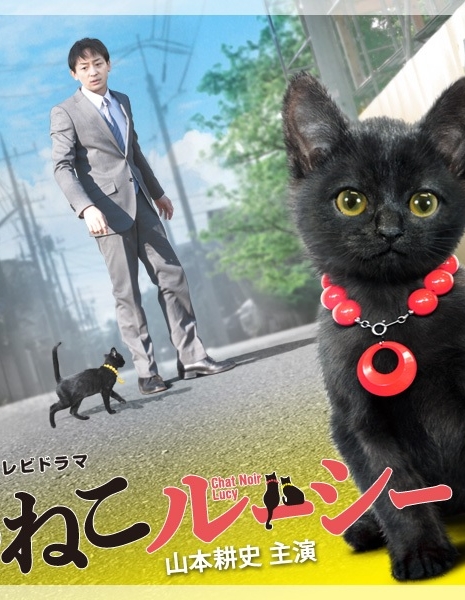 Черная кошка Люси / Kuro Neko Rushi / くろねこルーシー