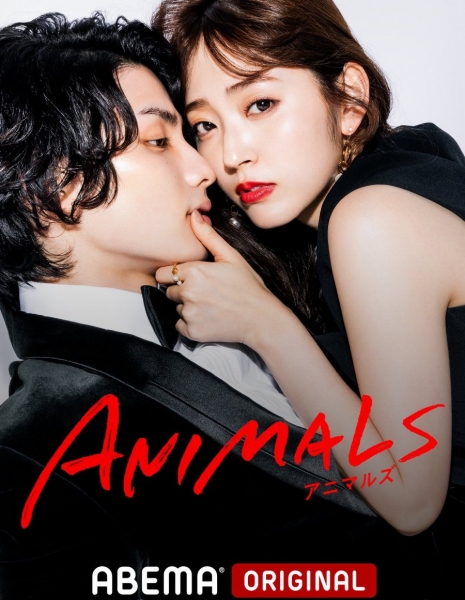 Животные / Animals /  アニマルズ /  Animaruzu