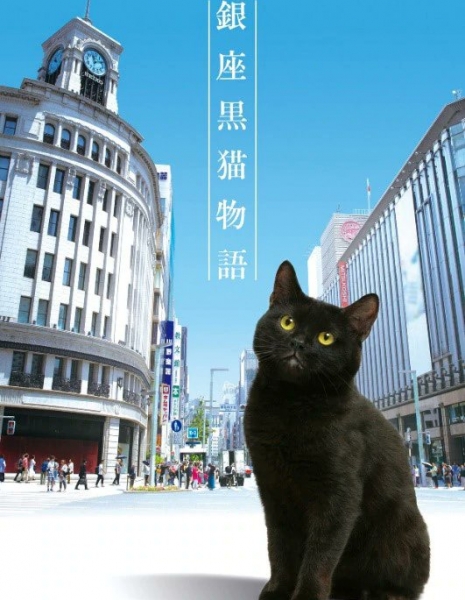 История черный кошки с Гинзы / Ginza Kuroneko Monogatari / 銀座黒猫物語