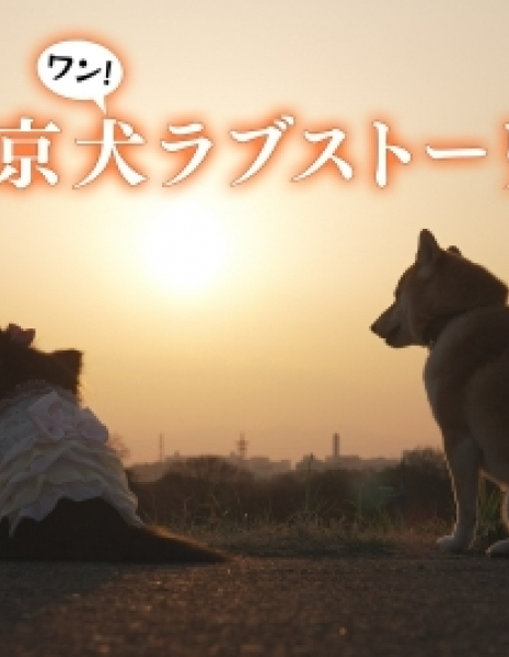 Токийская собачья любовная история / Tokyo Inu Love Story / 東京犬ラブストーリー