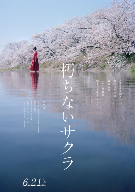 Фильм Нецветущая сакура / Kuchinai Sakura /  朽ちないサクラ