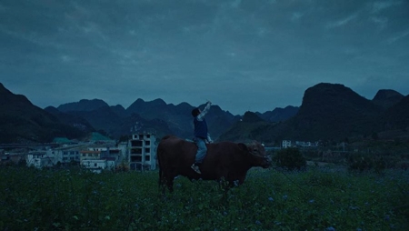 Фильм Сяо Хуэй и его коровы / Xiao Hui and His Cows / 小晖和他的牛
