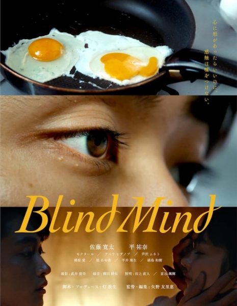 Слепой разум / Blind Mind /  Blind Mind