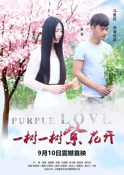 Фильм Фиолетовая любовь / Purple Love / 一树一树紫花开