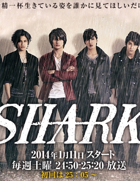 Дорама Shark Япония / Shark