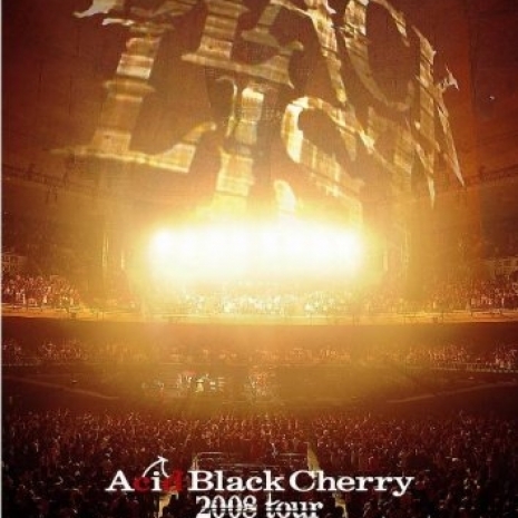 Acid Black Cherry 2008 tour &quot;BLACK LIST&quot;
