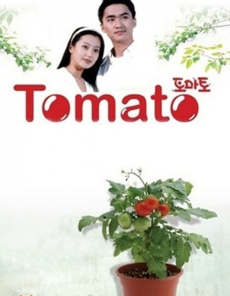 Томато / Tomato / 토마토 / To-ma-to