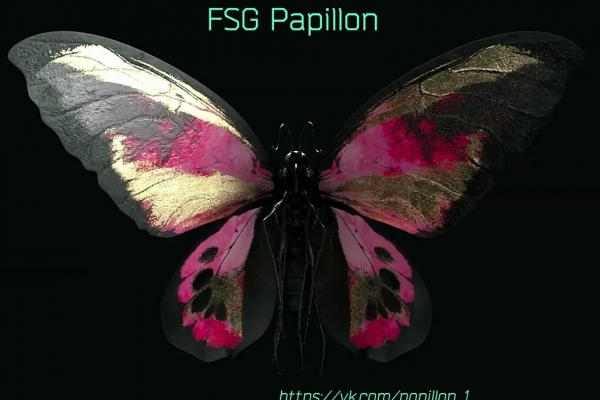 FSG Papillon