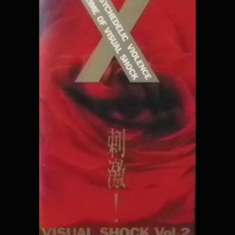 刺激! VISUAL SHOCK Vol. 2