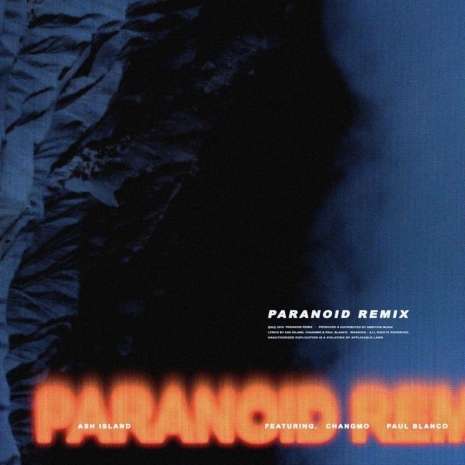 Paranoid Remix