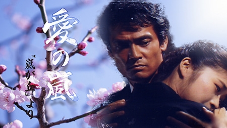 Дорама Вихрь любви (1986) /  Ai no Arashi /  愛の嵐