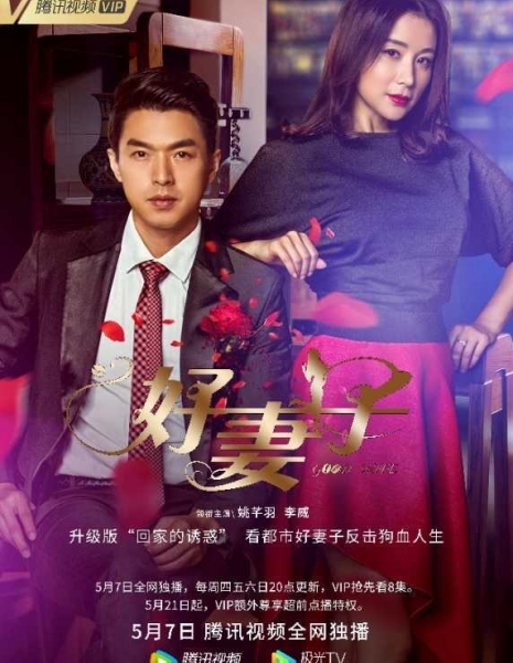 Хорошая жена (2020) / Good Wife (2020) / 好妻子 / Hao Qi Zi
