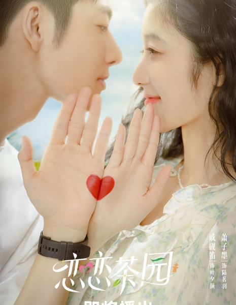 Любовь в чайном саду / Love in the Tea Garden /  恋恋茶园 / Lian Lian Cha Yuan