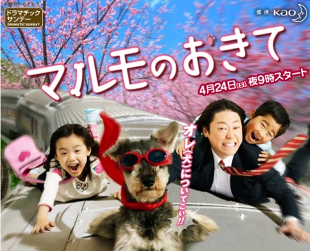 A single man and twins are a family!? The bond that the dog held together Дорама Настоящая семья / Marumo no Okite / マルモのおきて