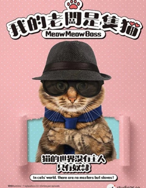 Босс Мяу-Мяу / Meow Meow Boss /  我的老闆是隻貓