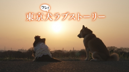 Серия 3 Дорама Токийская собачья любовная история / Tokyo Inu Love Story / 東京犬ラブストーリー