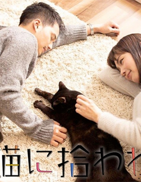 Мужчина, который подобрал бездомного кота / Suteneko ni Hirowareta Otoko / 捨て猫に拾われた男