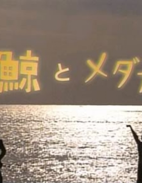 Kinyo Prestige / Kujira to Medaka /  鯨とメダカ