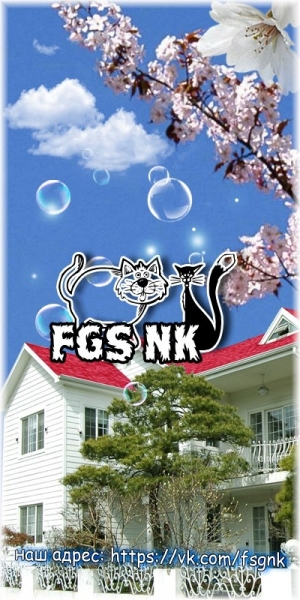 FSG NK
