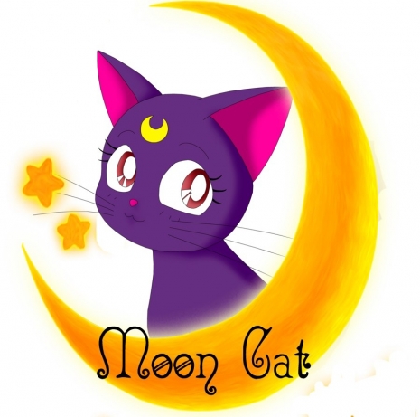 FSG Moon Cat