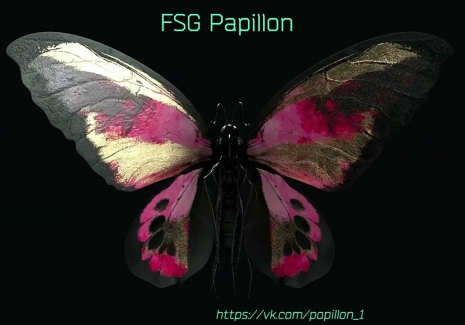 FSG Papillon