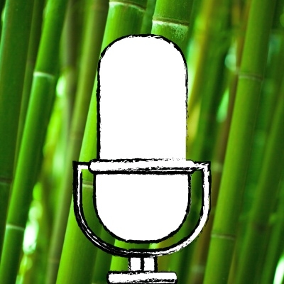 ТО Bamboo