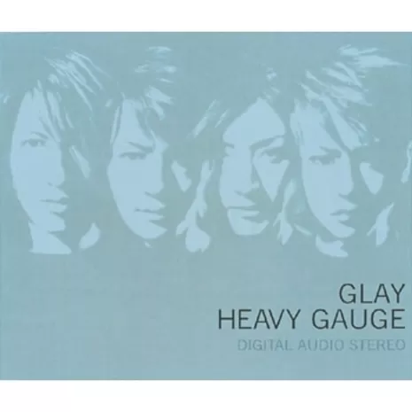 HEAVY GAUGE