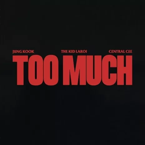 TOO MUCH