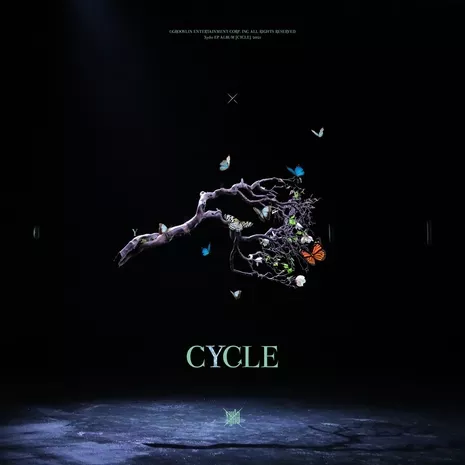 Cycle