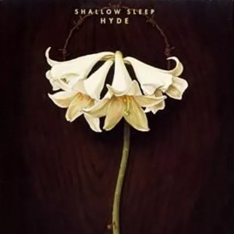 SHALLOW SLEEP