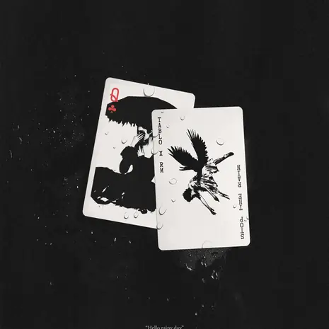 Stop The Rain (TABLO X RM)