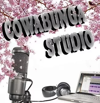 COWABUNGA STUDIO