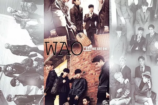 FSG WAO