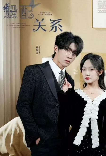 Дорама Подходящие отношения / Matching Relationship  /  般配关系