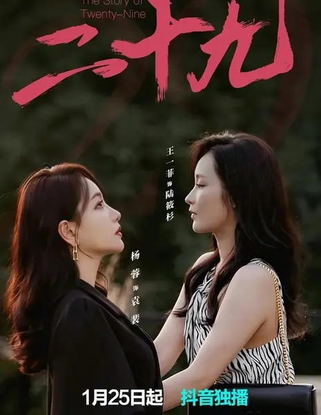 История двадцати девяти / The Story of Twenty-Nine  /  二十九