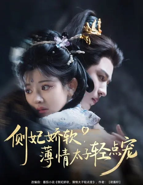 Ce Fei Jiao Ruan, Bo Qing Tai Zi Qing Dian Chong  /  侧妃娇软，薄情太子轻点宠