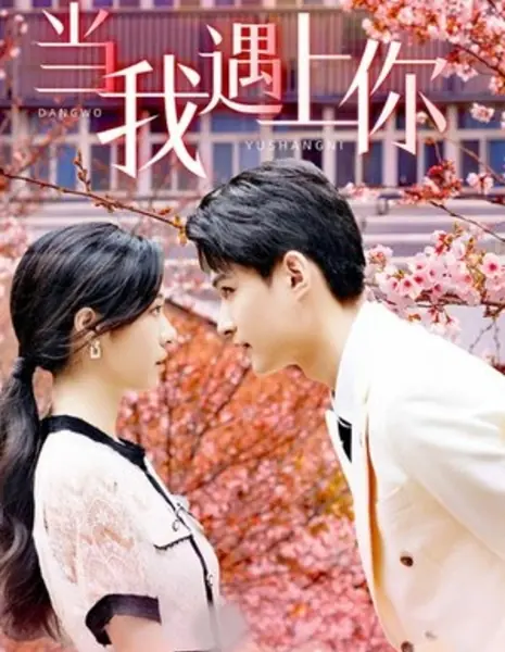 Когда я встретил тебя / Dang Wo Yu Shang Ni /  当我遇上你