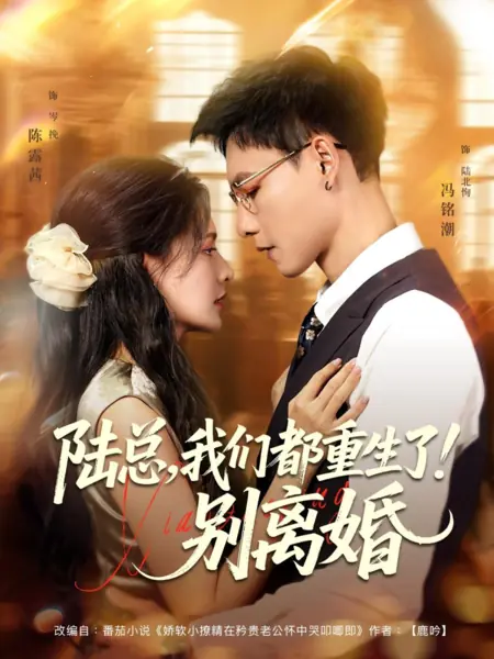 Дорама Господин Лу, мы оба переродились! Давай не будем разводиться / Lu Zong, Wo Men Dou Chong Sheng Le! Bie Li Hun /  陆总，我们都重生了！别离婚