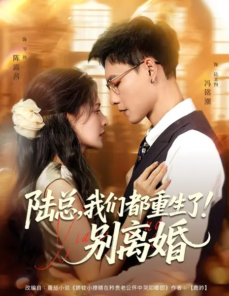 Господин Лу, мы оба переродились! Давай не будем разводиться / Lu Zong, Wo Men Dou Chong Sheng Le! Bie Li Hun /  陆总，我们都重生了！别离婚