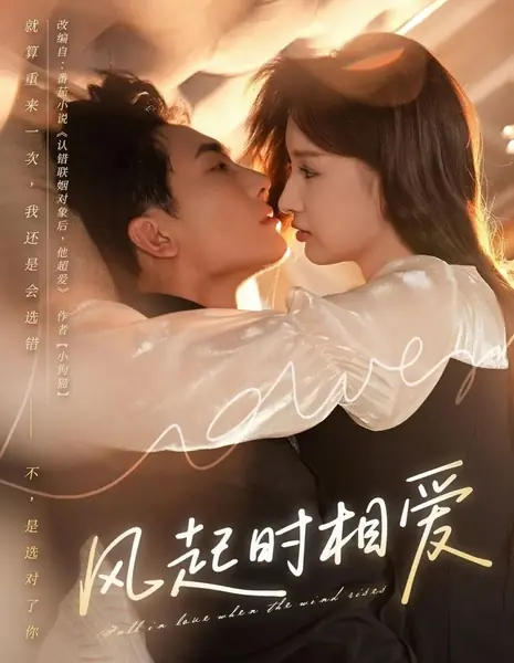 Любовь, когда поднимается ветер / Fall in Love When the Wind Rises /  风起时相爱