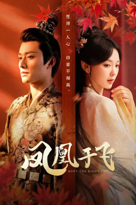 Дорама Найди свою идеальную девушку / Meet the Right Girl  /  凤凰于飞