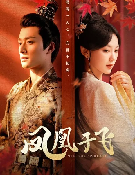 Найди свою идеальную девушку / Meet the Right Girl  /  凤凰于飞