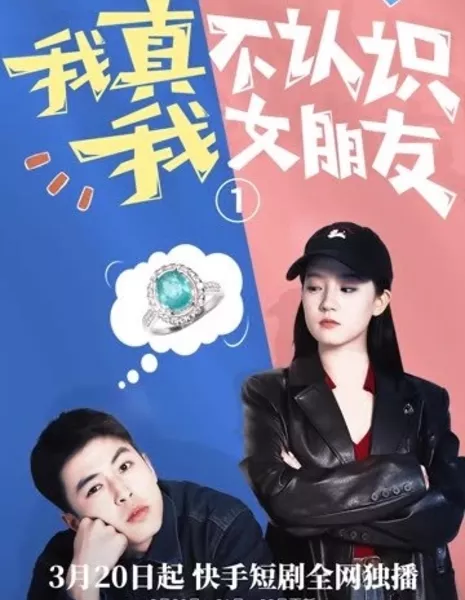 Wo Zhen Bu Ren Shi Wo Nv Peng You  /  我真不认识我女朋友