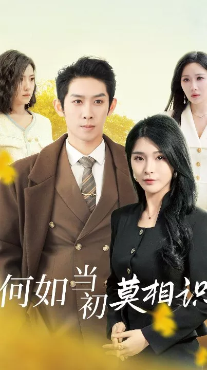 Дорама He Ru Dang Chu Mo Xiang Shi  /  何如当初莫相识