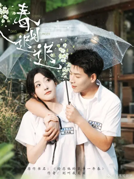 Дорама Весенние дни тянутся неспешно / The Spring Days Linger Leisurely  /  春日迟迟