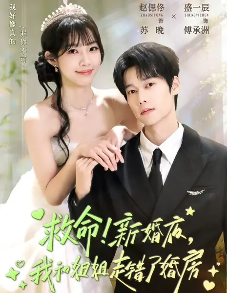 Помогите! В брачную ночь мы с сестрой перепутали комнаты / Jiu Ming! Xin Hun Ye, Wo He Jie Jie Zou Cuo Le Hun Fang / 救命！新婚夜，我和姐姐走错了婚房